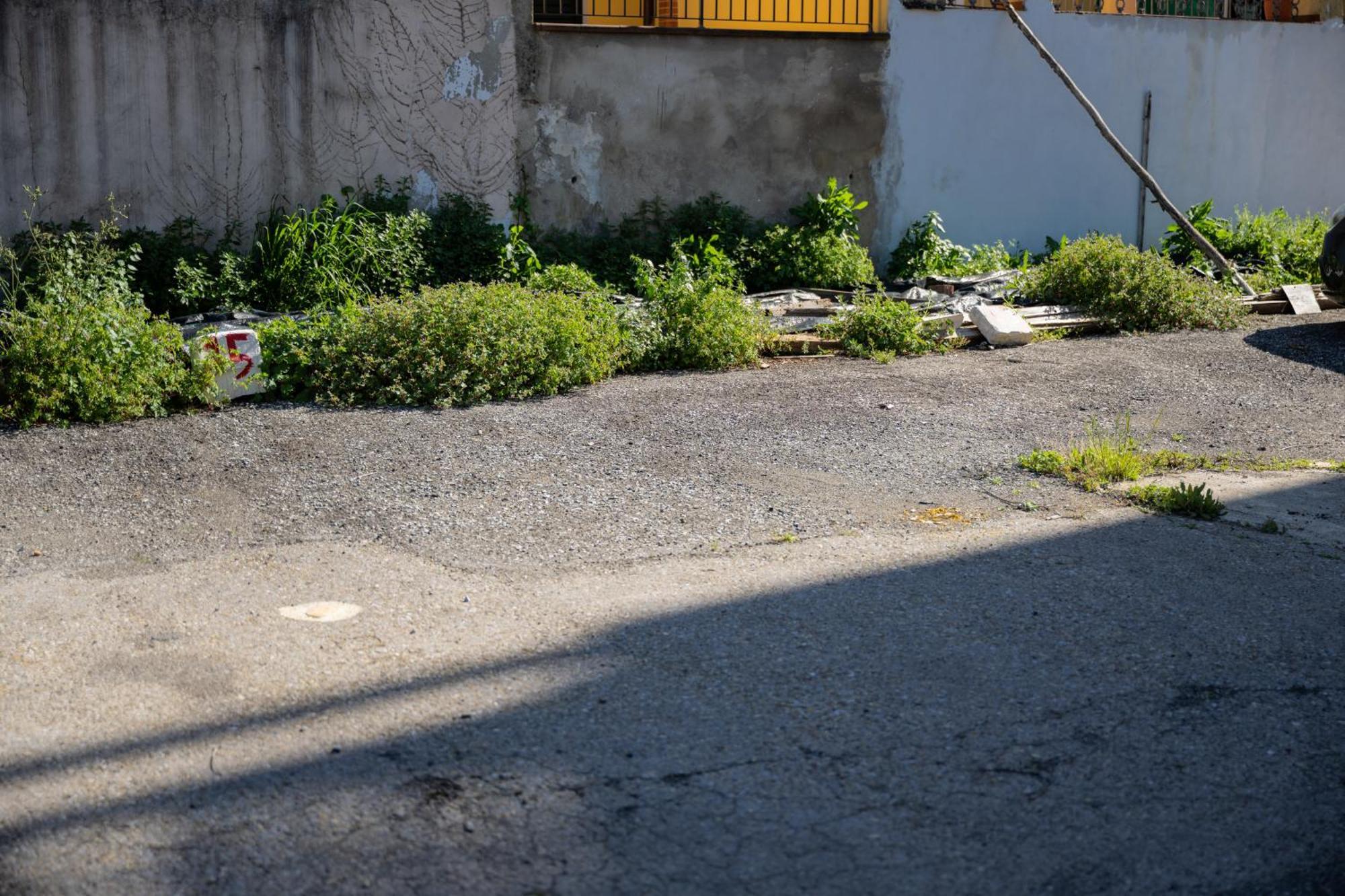 Tipica Cozy House + Parking! Apartment Florenţa Exterior foto